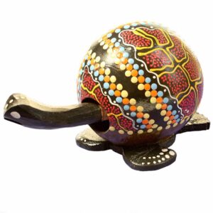 shaking head tortoise, coconut